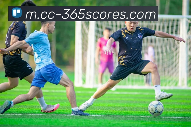 bet365官方全站App